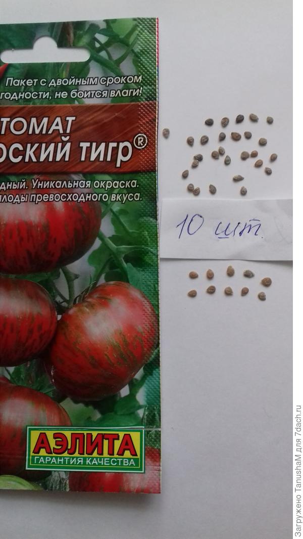 Томат