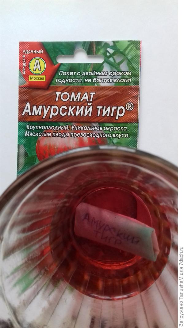 Томат