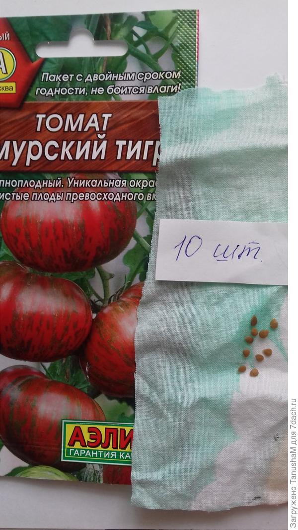 Томат
