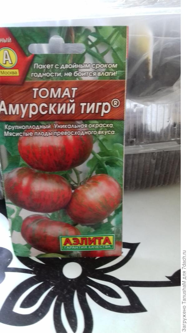 Томат