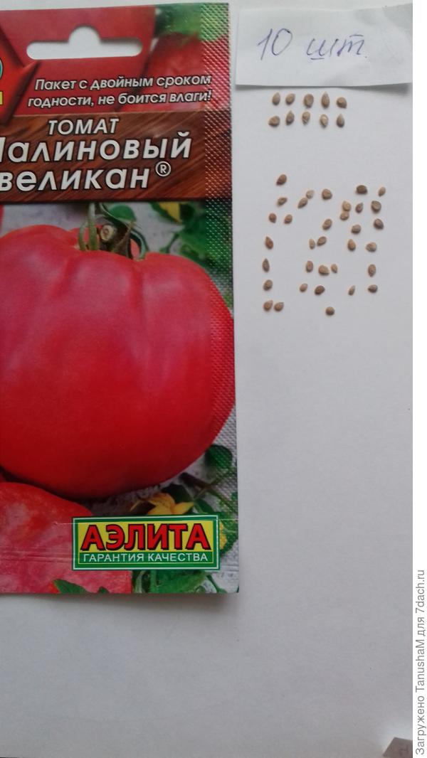 Томат