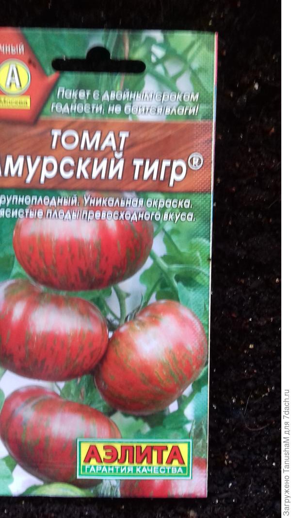 Томат