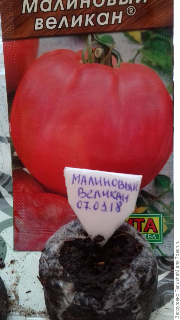 Посеяли