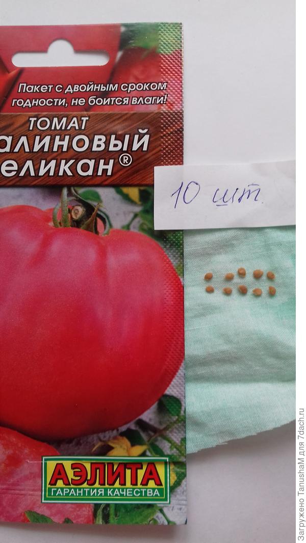 Томат готовится для дальнейшей пред посевной подготовке