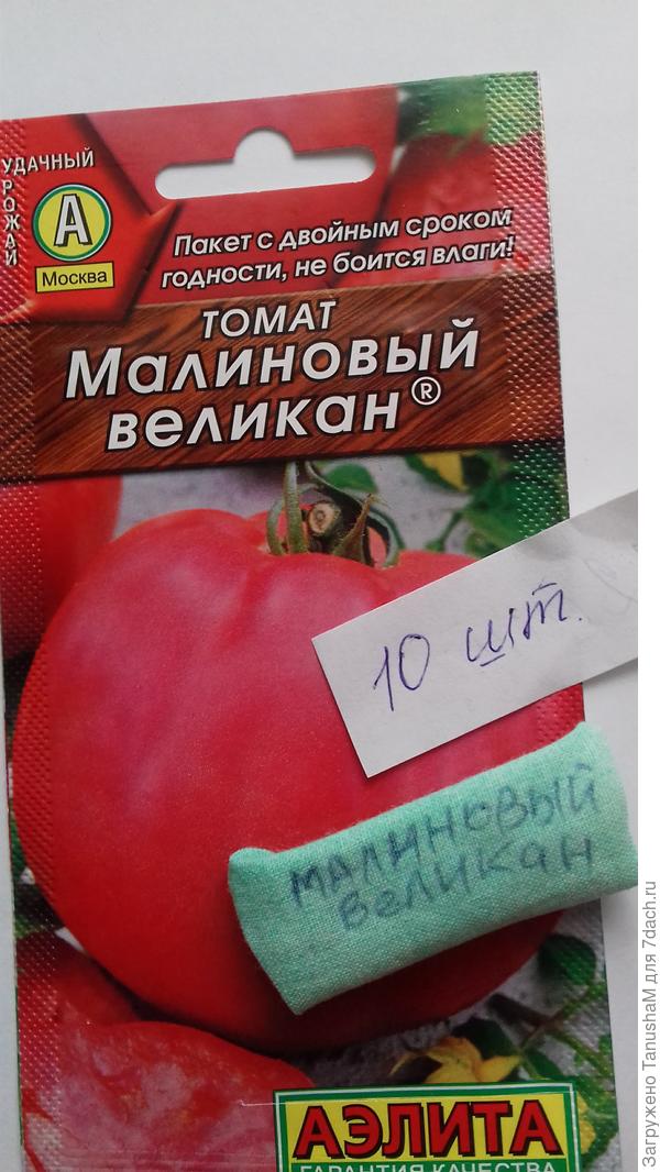 Томат