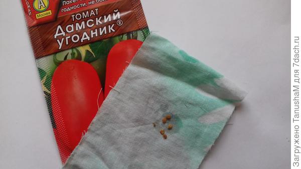 Томат