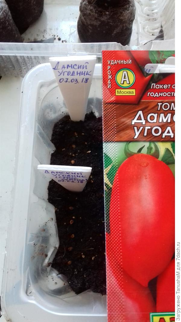 Посев
