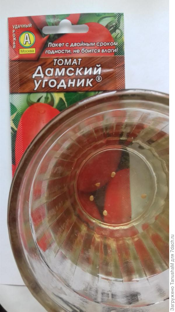 Колибровка 100%