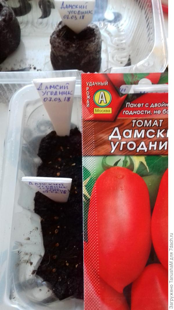 Посев
