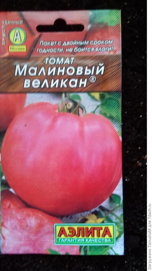 Томат