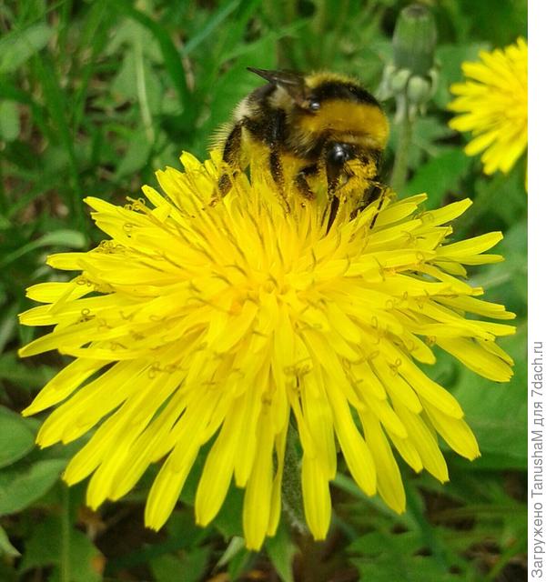 Мир.труд.май))