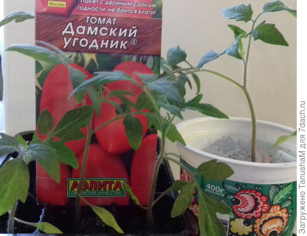 4 апреля