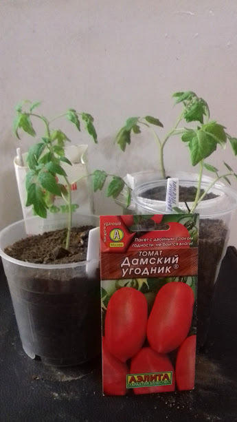 19апреля после очередной перевалки