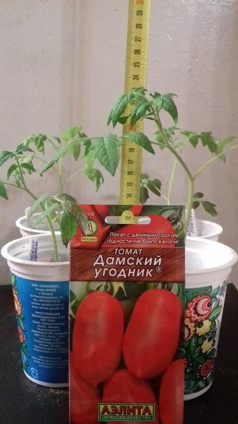 после перевалки