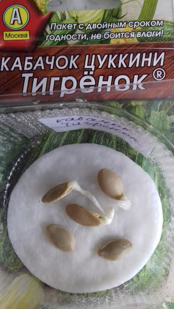 семена через 48 часов