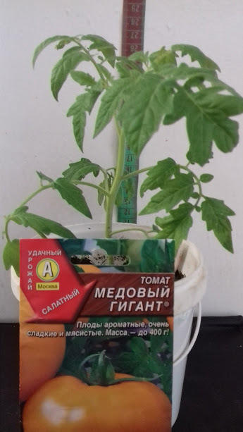 3 мая