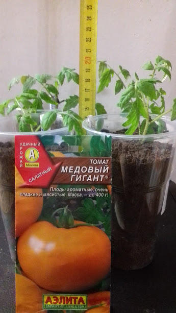 перевалка