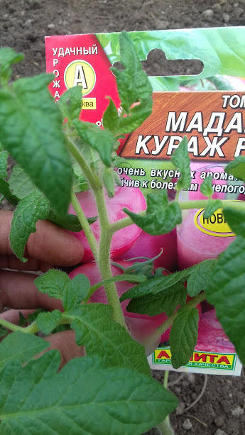 6 мая при высадке