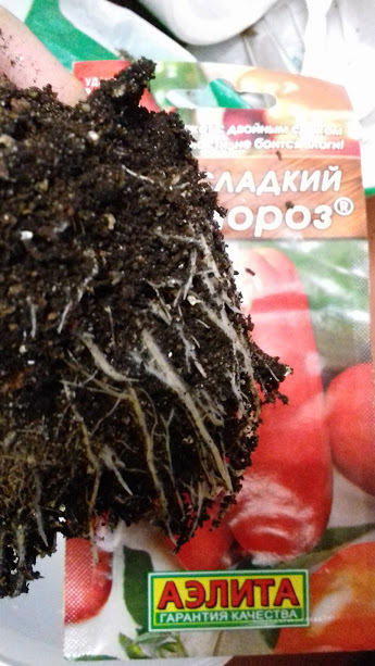 корневая