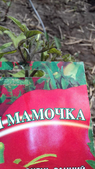 3июня