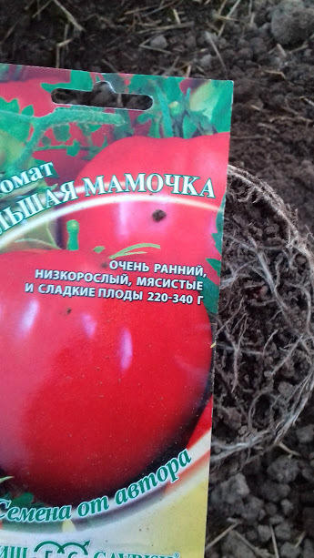 корневая