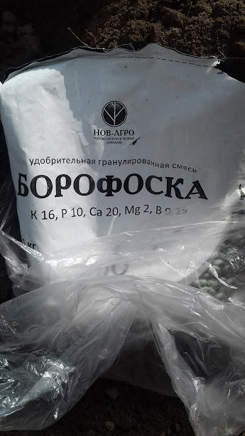 мапипп