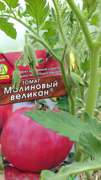 2 июня