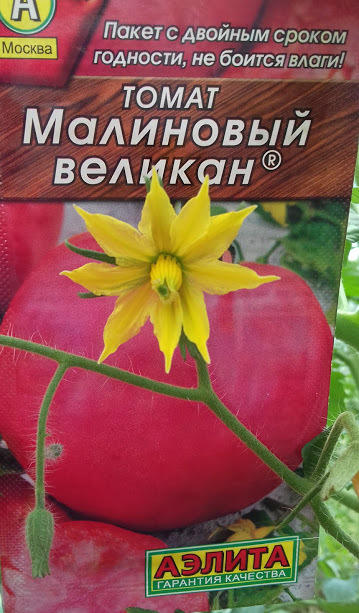 11 июня