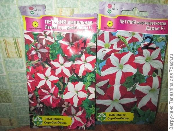 Вот такие сорта,Хочу сделать каскад.