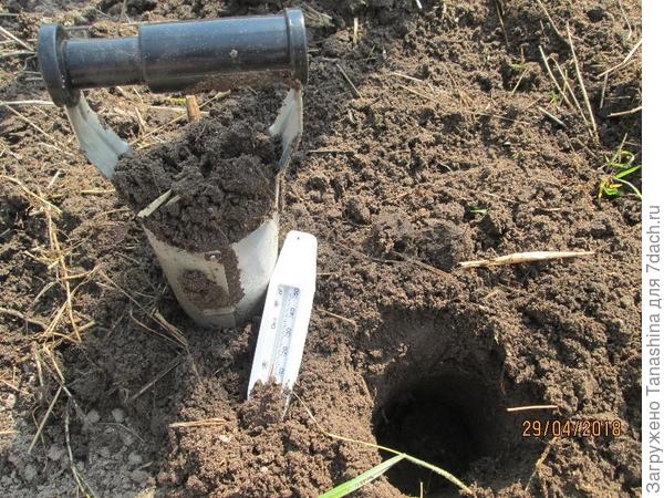 Температура грунта в лунке +15градусов