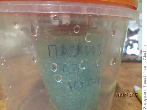 Контейнер поставила в светлое теплое место- на подоконник  температура  +22градуса.