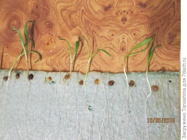 обнаружила