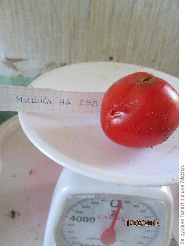 бббб