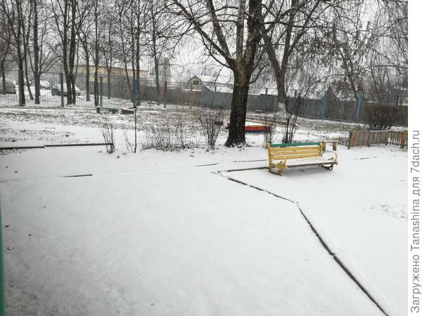 Гомель.первый день зимы.