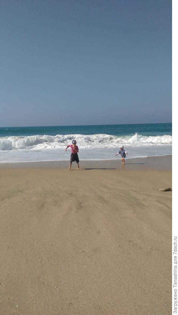 Внуки поздравили