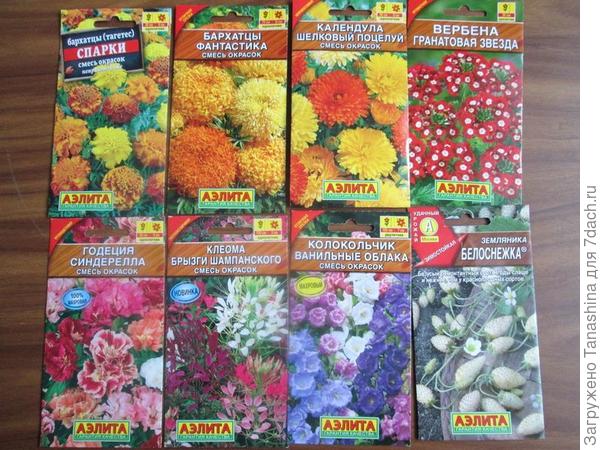 Аэлита подарила много много цветов.