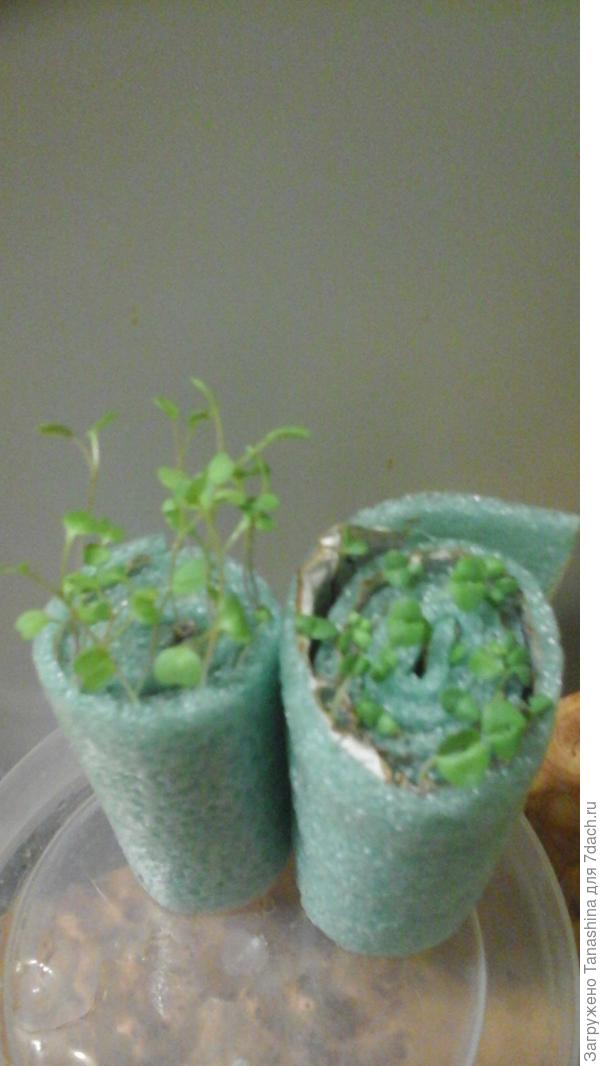 Декабрьские слабенькие.