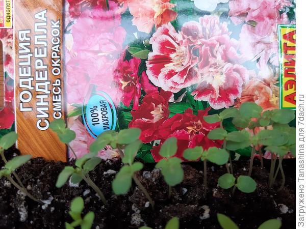 Всем желаю удачи и хороших урожаев!