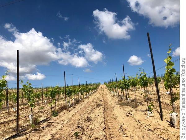 Это не мой. Поросто красиво