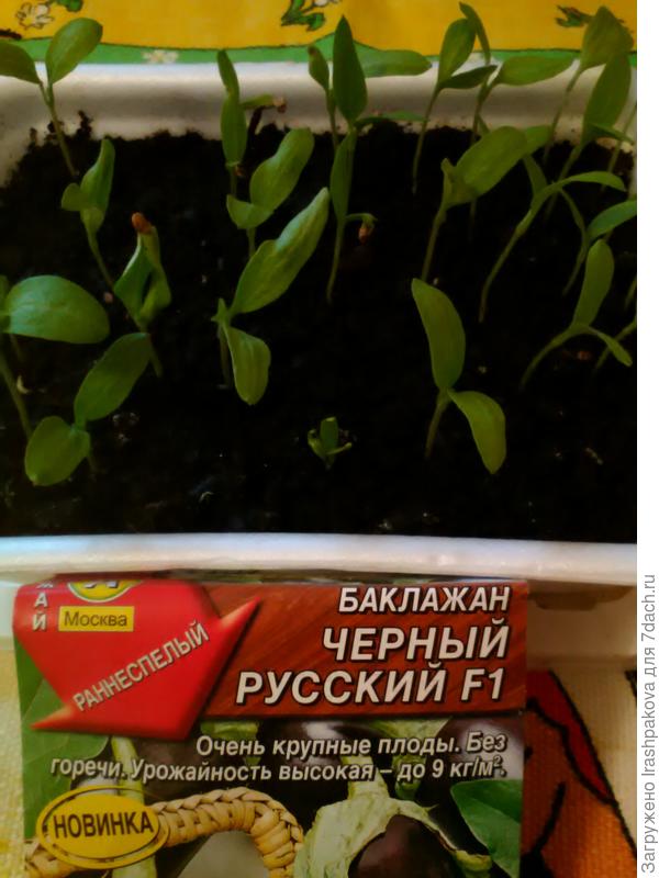 Жжж