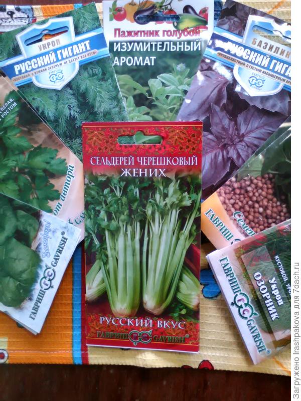 Мои зеленушки