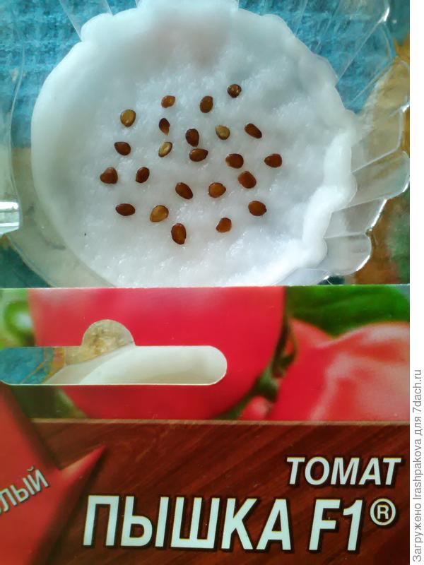 Замачивание