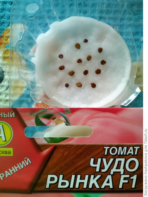 Замачвание