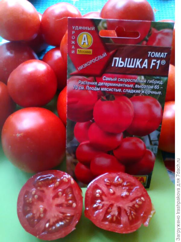 В разрезе