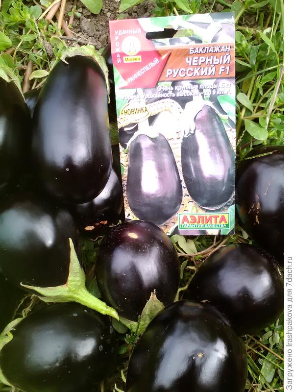 продолжение