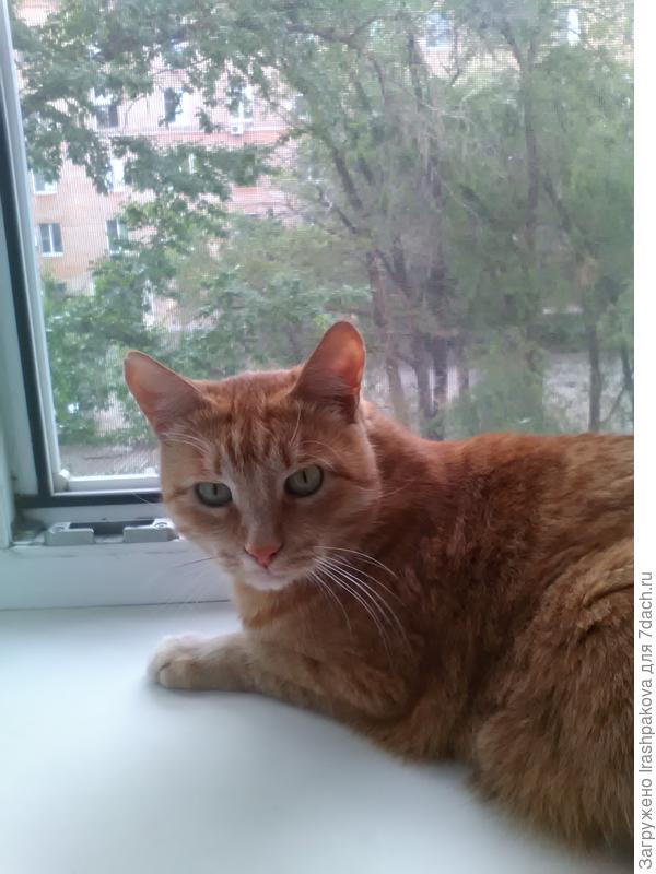 Поздравления от Василия Томарыча.