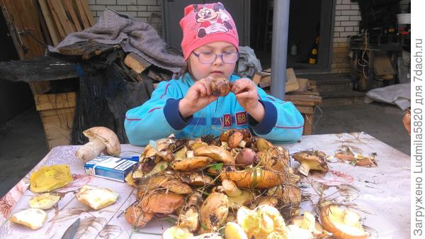 Дочка помогает чистить грибочки