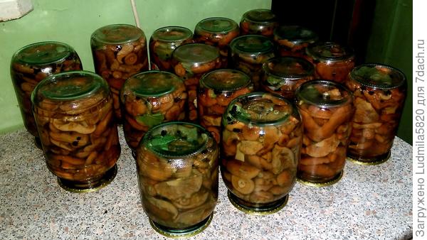 Заготовочки на зиму