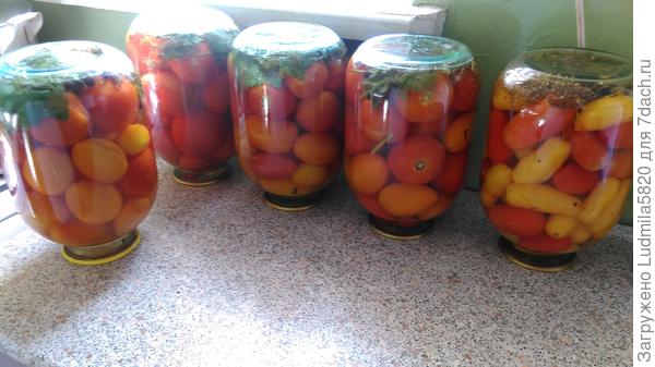 Помидоры консервированные( сладкие)