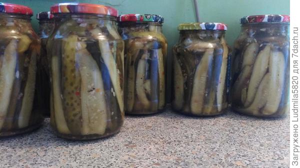 Огурцы к рюмочке( в чесночно, перечной заливке)